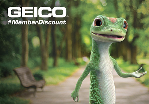 geico brothers